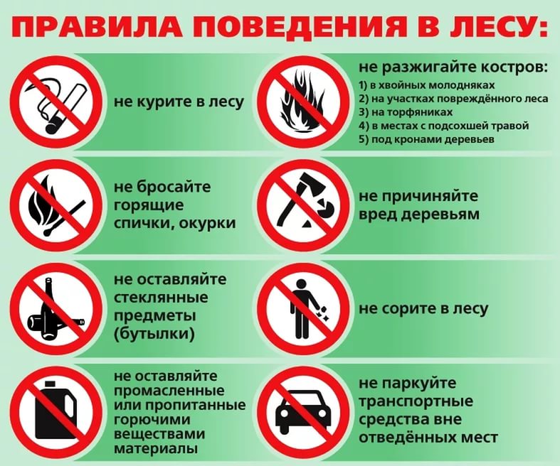 Правила поведения в лесу.jpg