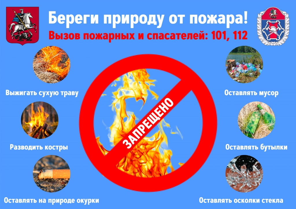 Берегите лес.jpg Берегите лес.jpg