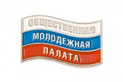 План мероприятий для общественных советников и Молодежной палаты района Чертаново Южное