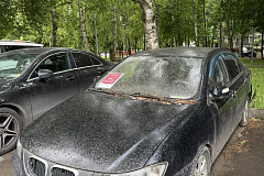 28.05.2026 г. в соответствии с постановлением Правительства Москвы от 20.04.2023 № 696-ПП по адресу: ул. Кировоградская, д.38, к.1 выявлено транспортное средство марки BMW, государственный регистрационный знак Н043РА197, обладающее признаками брошенного Т