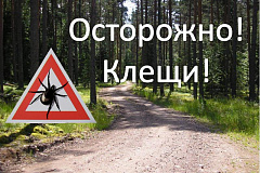 Осторожно! Клещи! Памятка, как защитить себя от укусов клещей